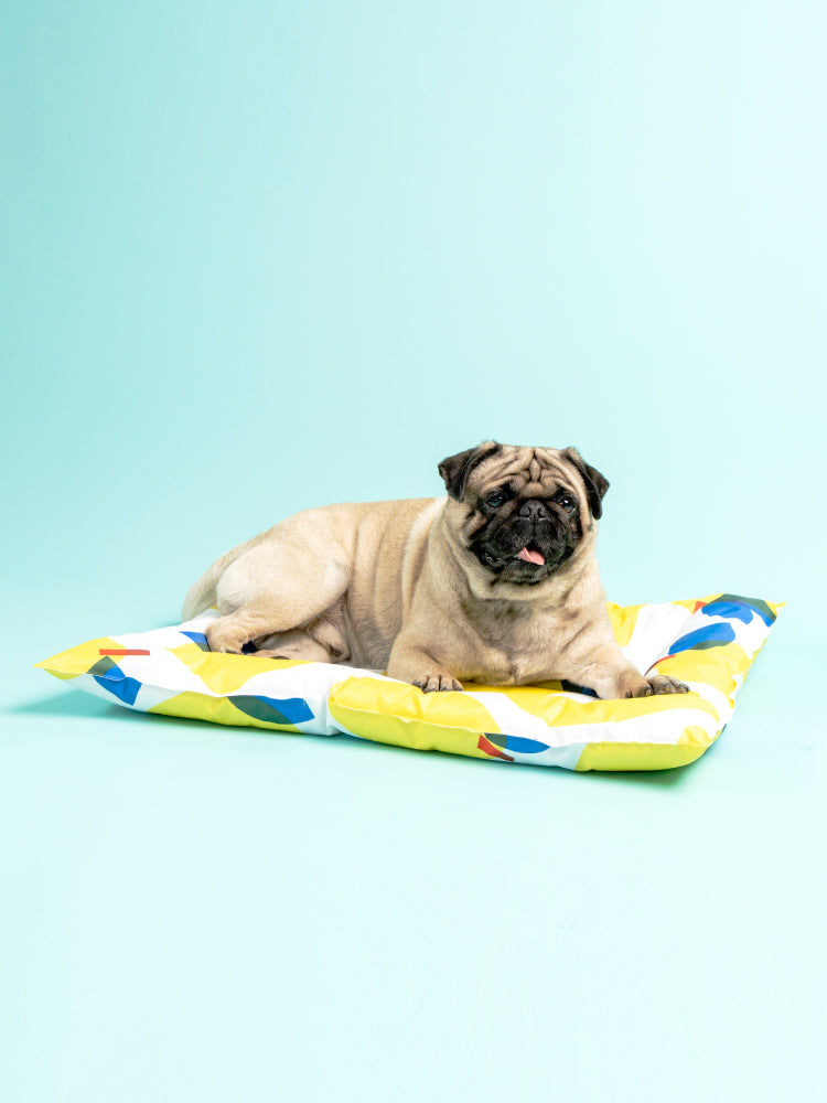 ChillMax Elite: The Secret Anti-Heatwave Cooling Pad